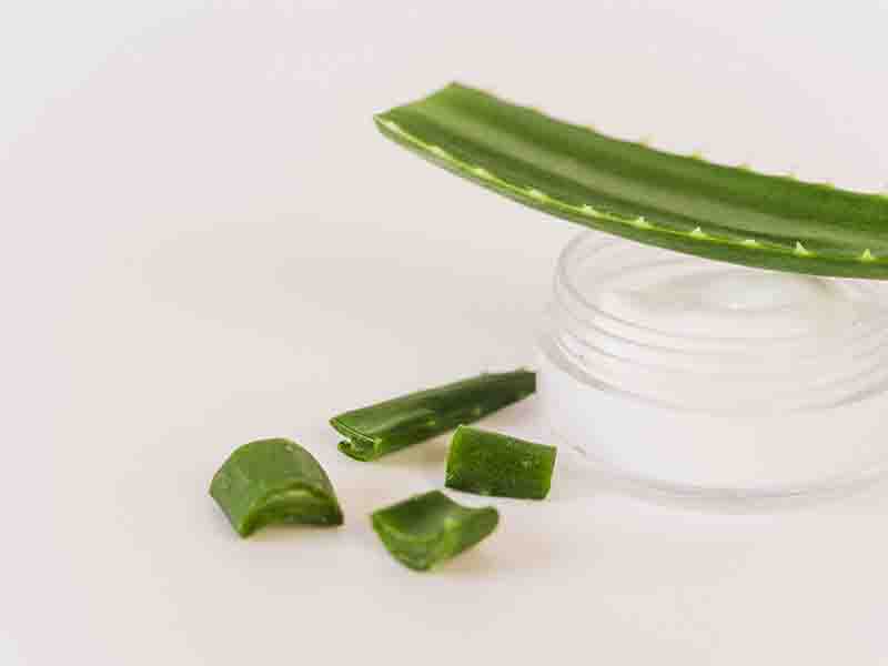 Aloe Vera Gel For Eyebrow Regrowth