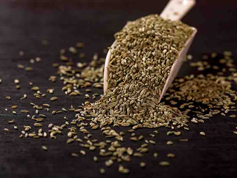 Fennel Seeds To Prevent Body Odor