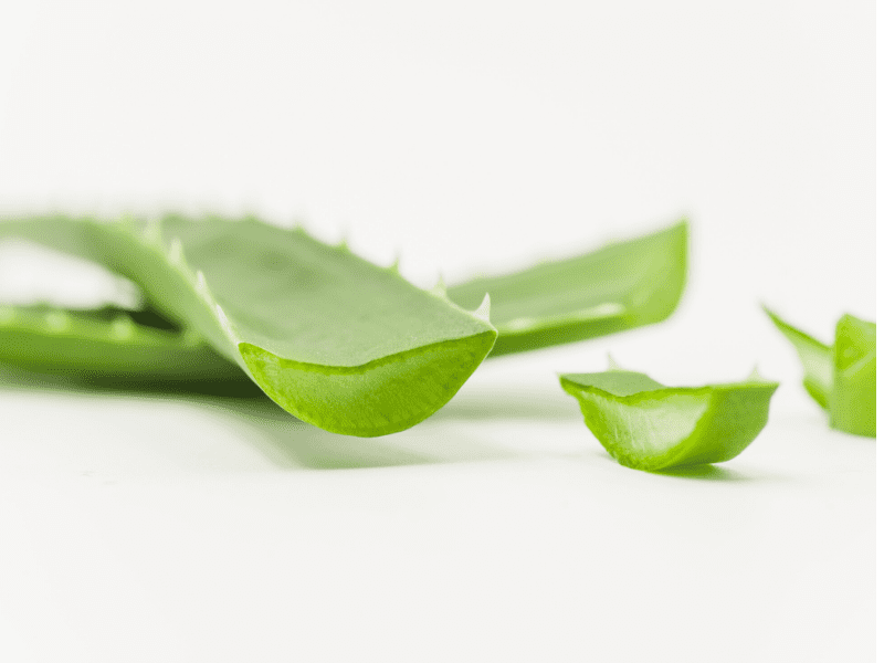 Aloe Vera For Pimple Reduction