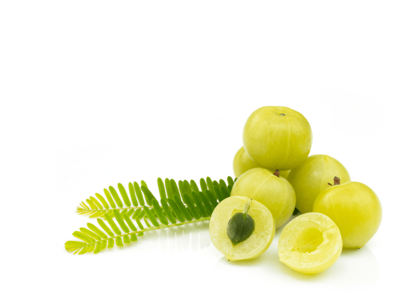 Amla For Hair Loss