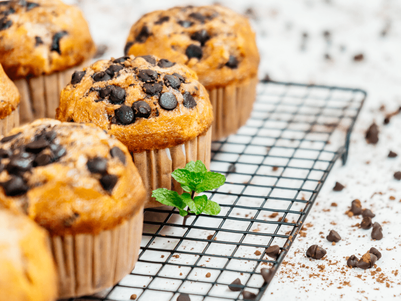 Chocolate Chip Muffin Recipe