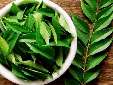 Curry Leaves To Treat Hair Loss