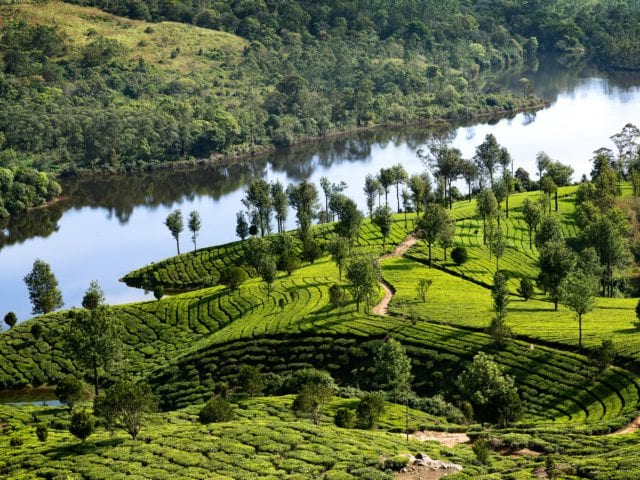 Munnar - Must Visit Scenic Destination In India