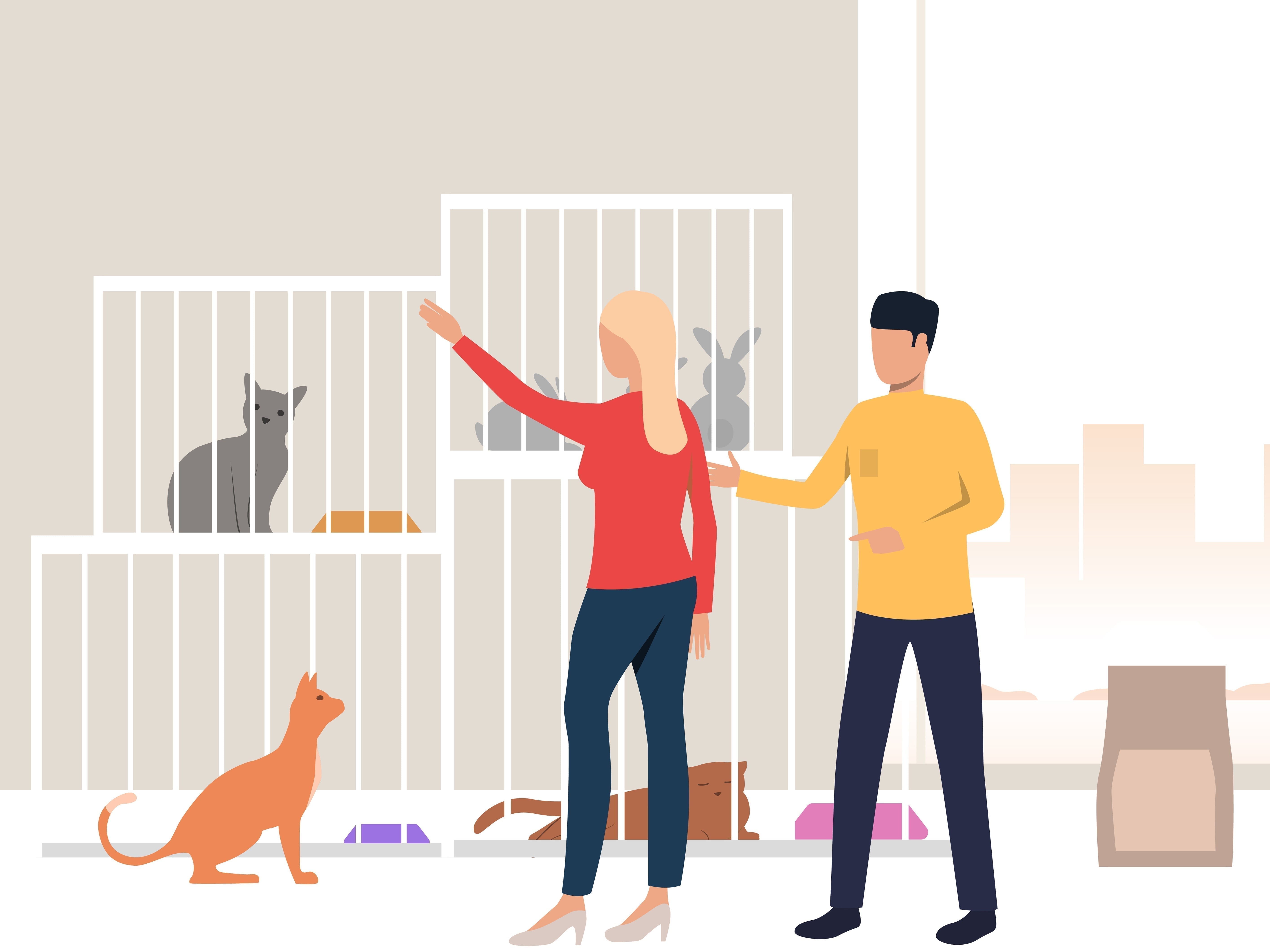 Start Work As Nanny To Pets