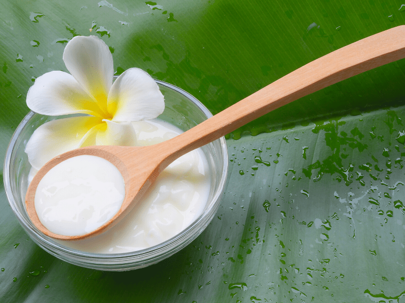 Yoghurt Mask For Dry Skin