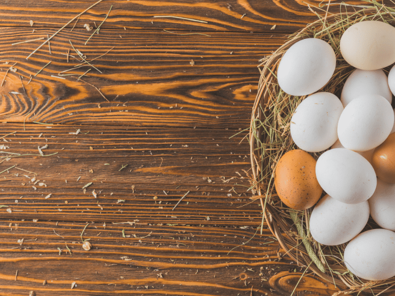Eggs - A Protein Food Source
