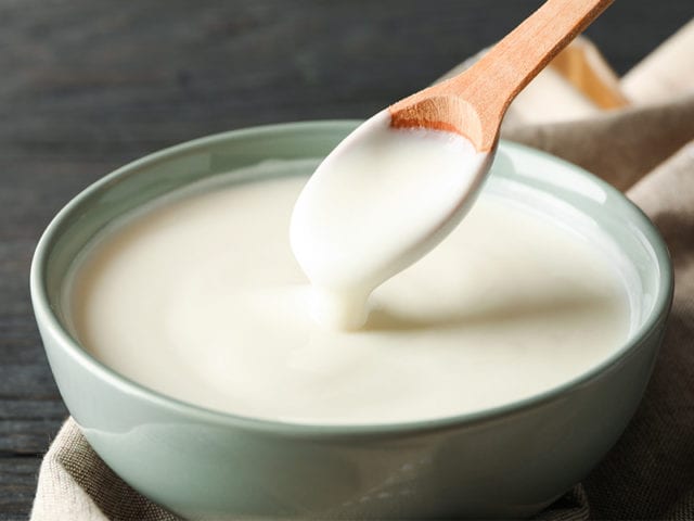 Vegan Yogurt Recipe