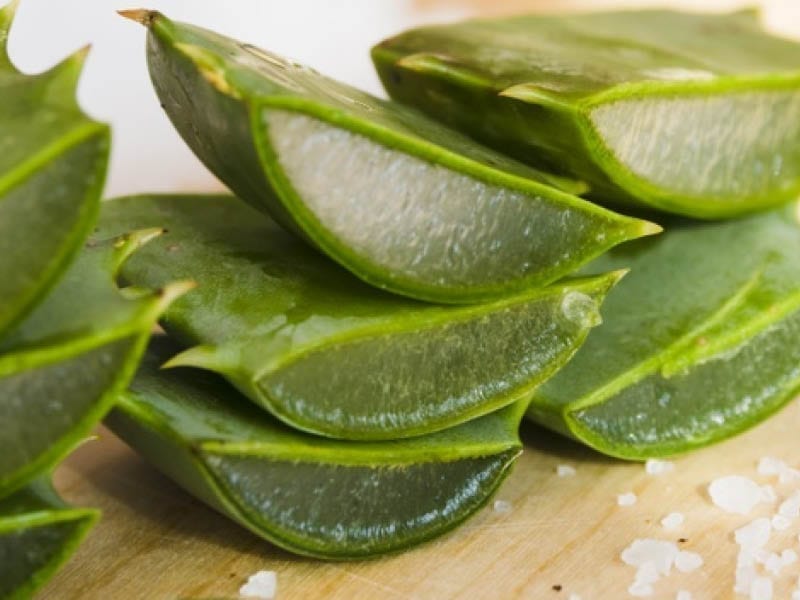 Aloe Vera For Oily Skin Issue