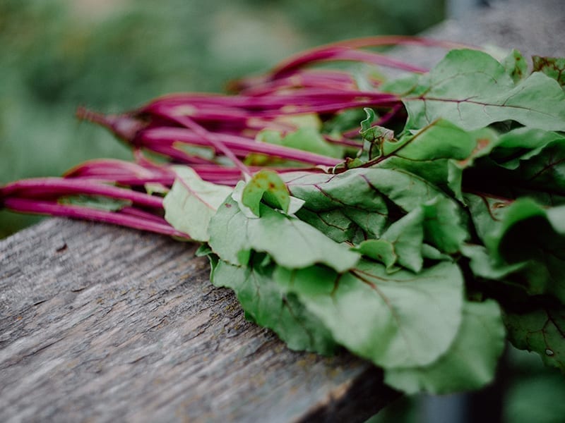 Green Vegetables