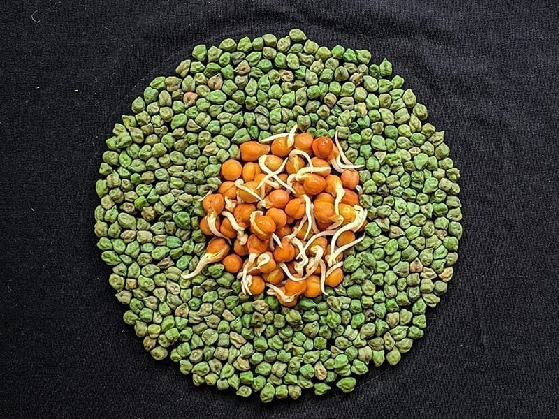 Lentils & Beans