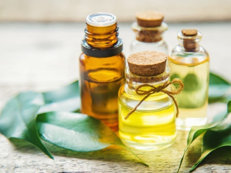 Get Rid Of Oily Scalp With Tea Tree Oil