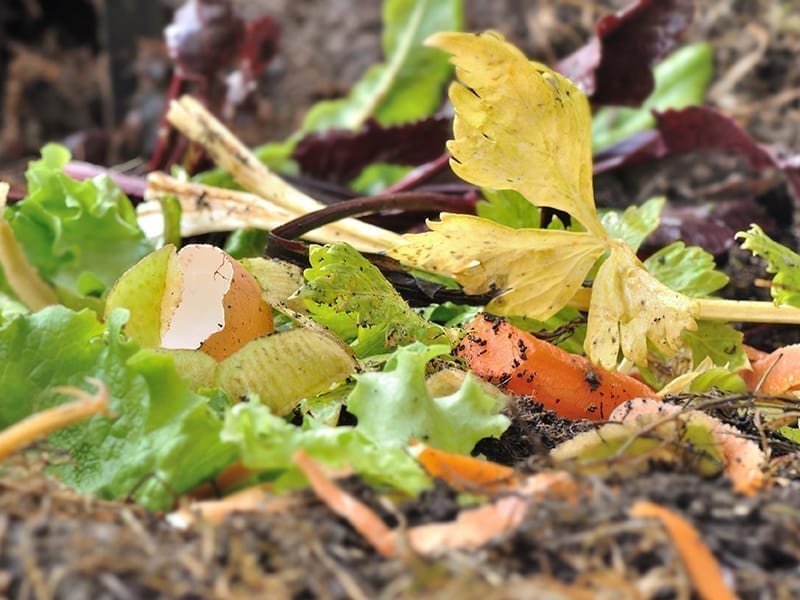 What To Compost