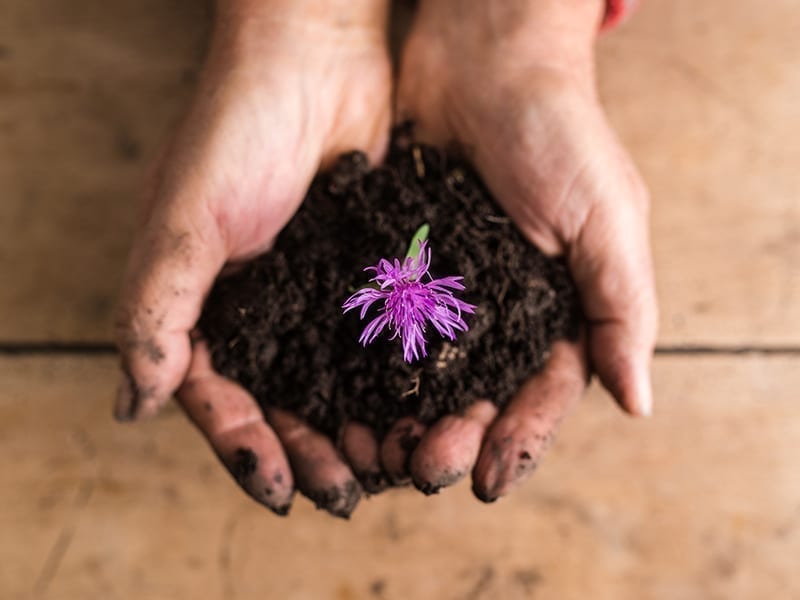 Steps To Make Compost At Home