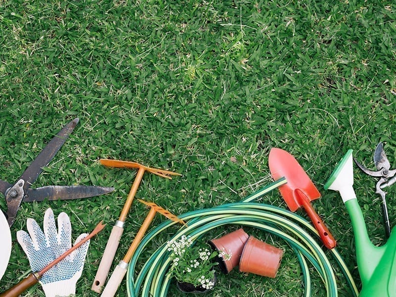 Homemade Compost For Plants